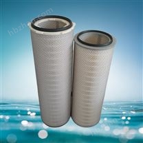 倉(cāng)頂除塵器濾筒.