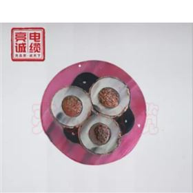 盾构机橡套电缆