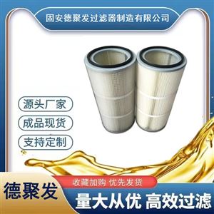 除尘滤芯除尘器滤芯 东丽聚酯纤维粉尘滤筒133*500