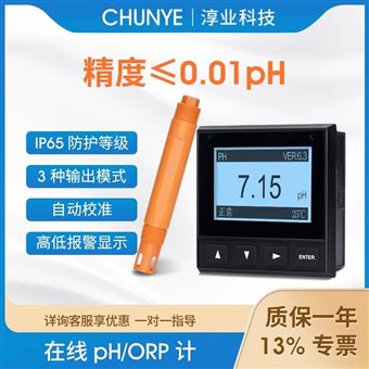 W3206B淳業在線ph計工業控制器傳感器