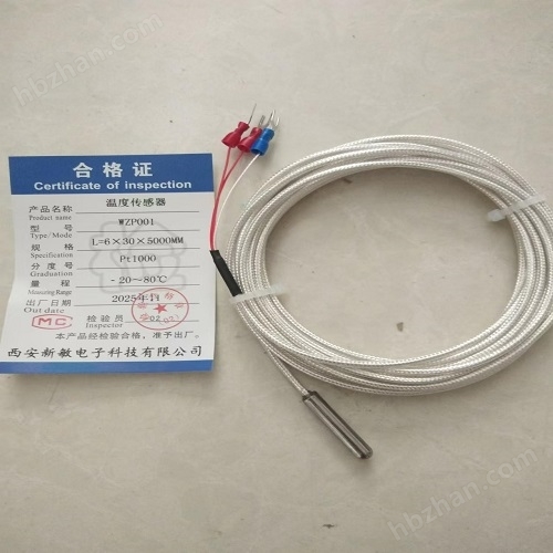 鉑電阻溫度傳感器