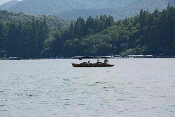四川發(fā)布多項政策性文件，涉及黃河流域、青藏高原、沱江經(jīng)濟帶→