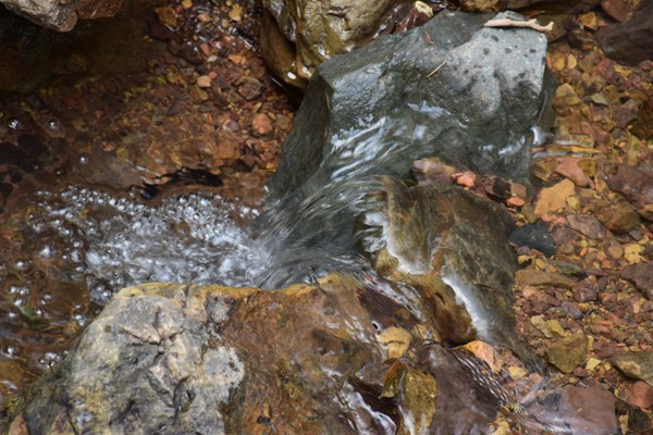 活性污泥中毒：為啥好好的污水處理系統(tǒng)，突然就“罷工”了？