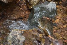 環(huán)保新質(zhì)生產(chǎn)力|基于功能肥料的重金屬污染耕地安全利用技術(shù)