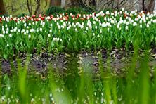 蘇州市以“減污降碳協(xié)同增效、因地制宜循環(huán)利用”理念高標(biāo)準(zhǔn)推進(jìn)農(nóng)村生活污水資源化利用典型案例