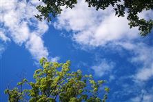 “地面溫室氣體柱濃度監(jiān)測儀器計(jì)量性能測試”順利啟動！