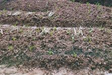 2451.49萬(wàn)！永清環(huán)保中標(biāo)浙江省核心區(qū)域土壤修復(fù)項(xiàng)目