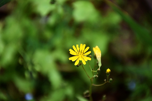 2023年電力二氧化碳排放因子發(fā)布！