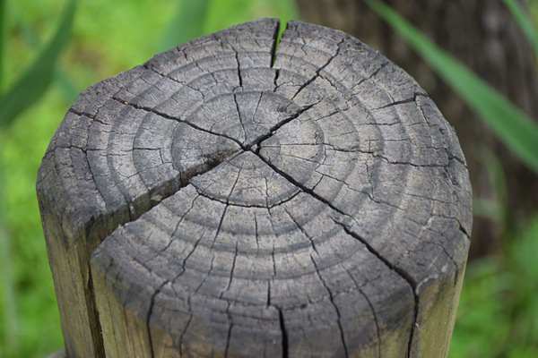 生態(tài)環(huán)境部部領(lǐng)導(dǎo)調(diào)整