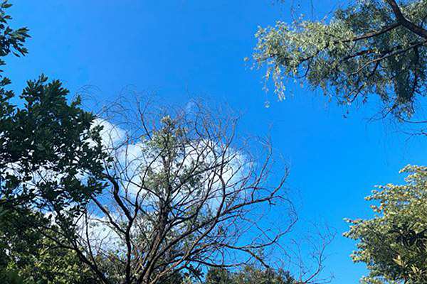 奔跑加速度！菲達環(huán)保一批項目刷新進度條