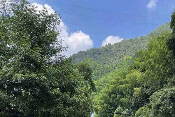 江西成立全國首支市場化礦山生態(tài)修復(fù)基金