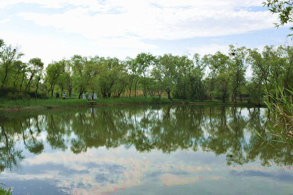 《天津市入海排污口監(jiān)督管理實(shí)施細(xì)則（試行）》印發(fā)