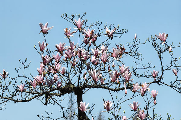 73項(xiàng)上榜！第三批工業(yè)產(chǎn)品碳足跡核算規(guī)則團(tuán)體標(biāo)準(zhǔn)推薦清單公布