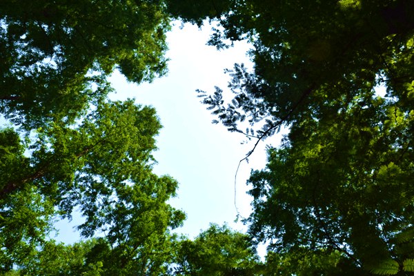 2026年1月生態(tài)環(huán)境政策匯總