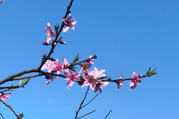 亳州市优化治理方式，巩固提升空气质量改善成果