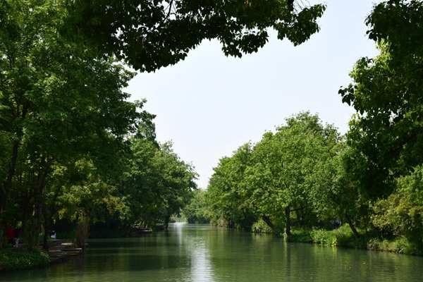 重慶市第一生態(tài)環(huán)境保護督察組督察北碚區(qū)情況反饋會召開