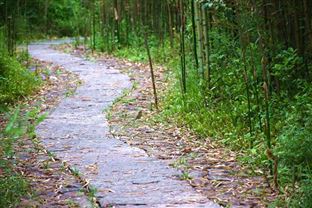 科技賦能監(jiān)測(cè) 智慧守護(hù)寧?kù)o——湖北省聲環(huán)境自動(dòng)監(jiān)測(cè)網(wǎng)絡(luò)全面建成