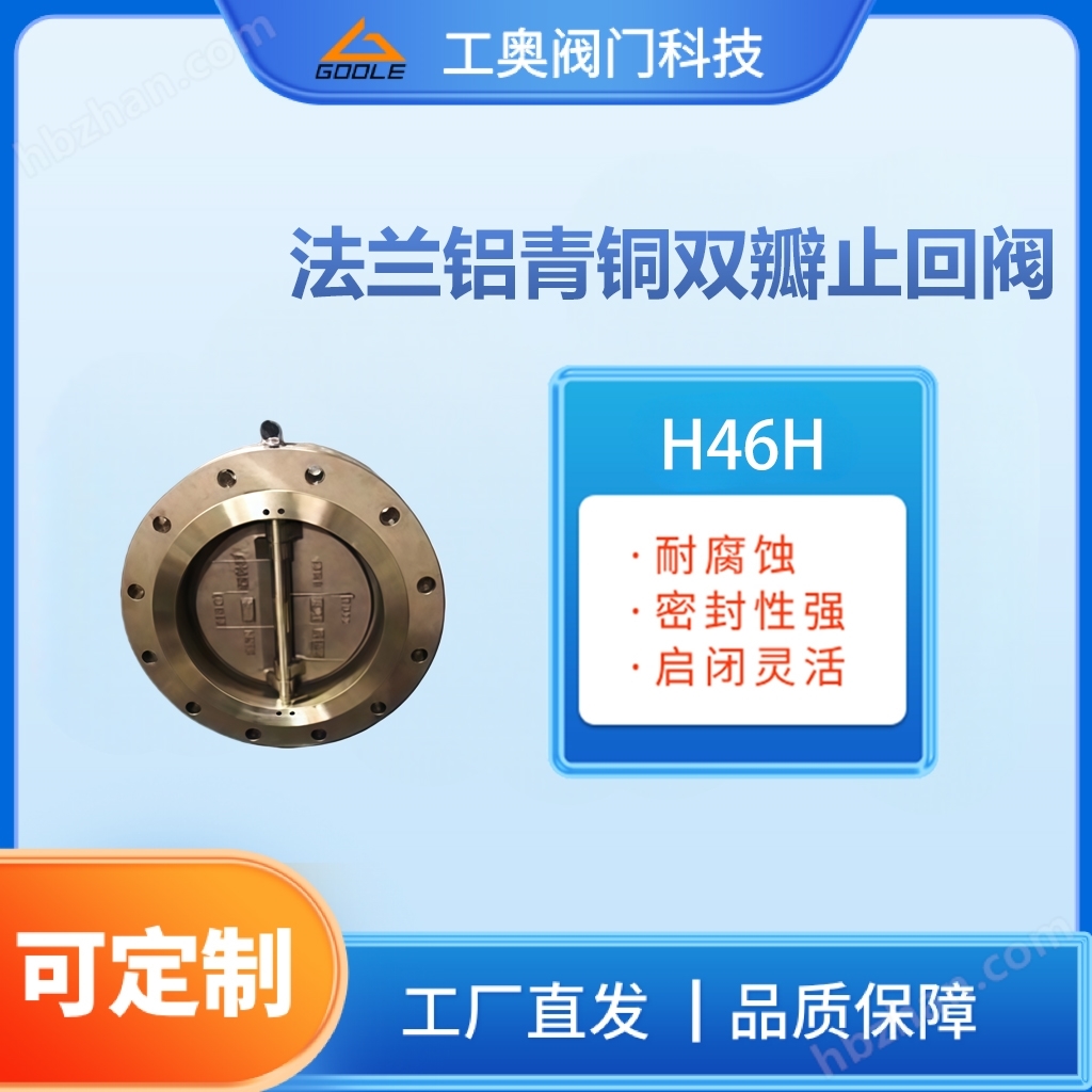 法蘭鋁青銅雙瓣止回閥