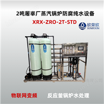 欣榮欣2噸屠宰場蒸汽鍋爐防腐型反滲透設(shè)備