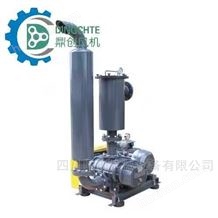 DCV-100負壓羅茨風(fēng)機