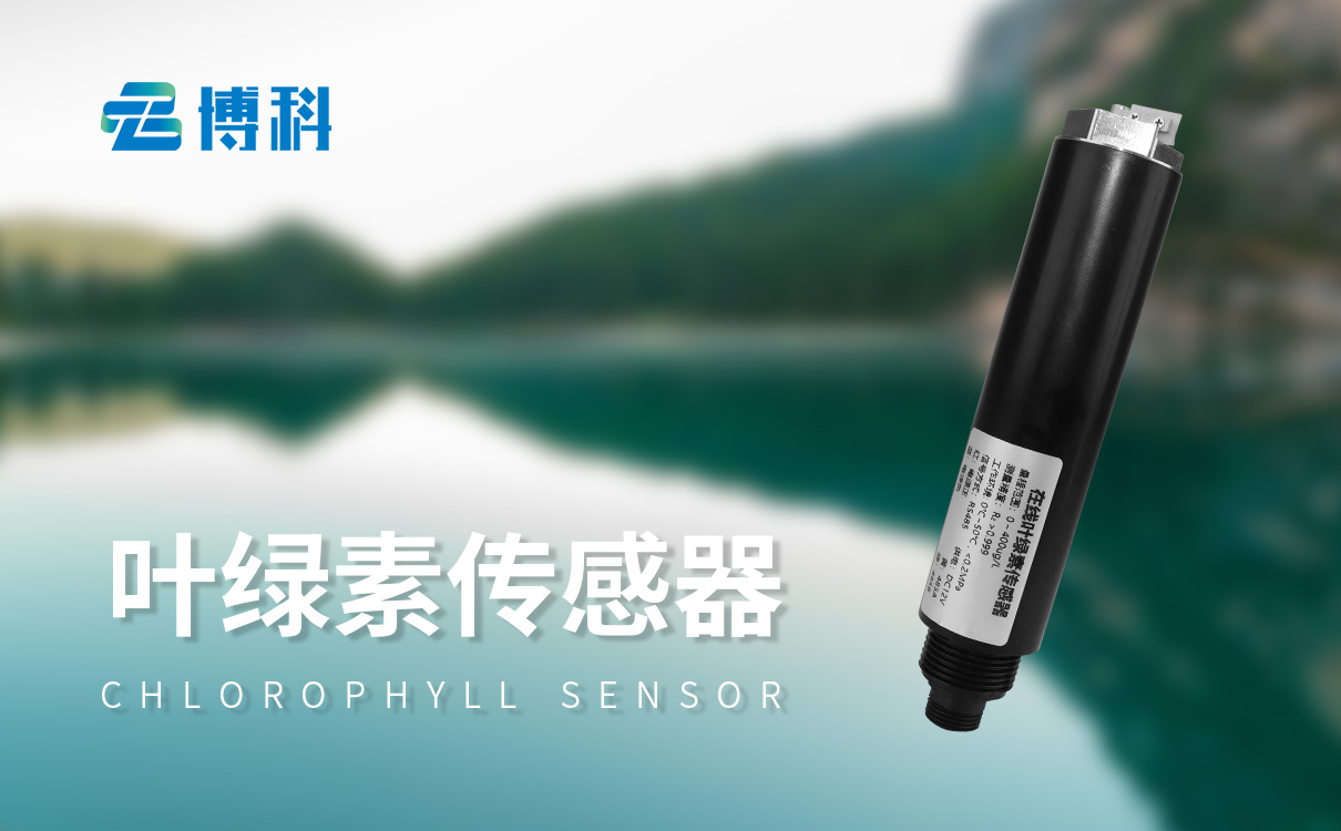 在线式叶绿素传感器