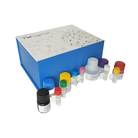 小鼠ELISA試劑盒