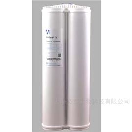 QGARDT2X1默克 Q-Gard® T2 超纯水系统精纯化柱