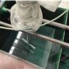 含冲地废水pH调整池1搅拌机